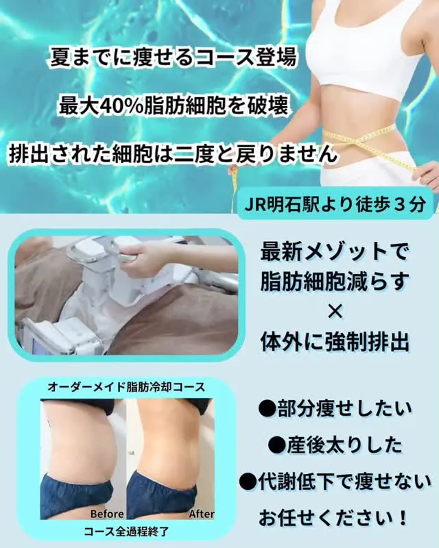 その落ちない脂肪